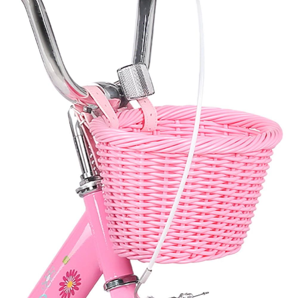 #color_persian-pink