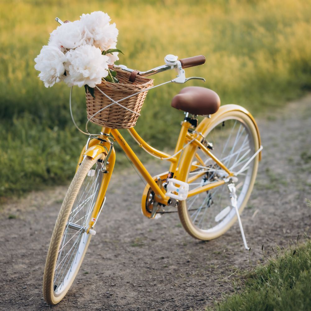#color_yellow